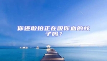 你還敢拍正在吸你血的蚊子嗎？