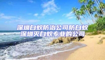 深圳白蟻防治公司防白蟻深圳滅白蟻專(zhuān)業(yè)的公司