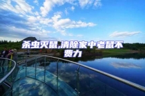 殺蟲(chóng)滅鼠,清除家中老鼠不費(fèi)力