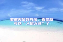 家庭滅鼠好方法，看完就可以“人鼠大戰”了