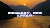 家里有吸血臭蟲，應(yīng)該怎么消滅它們？