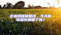 正新雞排被整改，今天你吃到死蟑螂了嗎？
