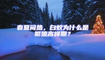 春夏悶熱，白蟻為什么是繁殖高峰期？