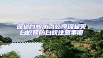 深圳白蟻防治公司深圳滅白蟻預(yù)防白蟻注意事項