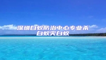 深圳白蟻防治中心專業(yè)殺白蟻滅白蟻
