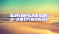 深圳白蟻防治的高峰期到來 殺蟲公司要做好應對