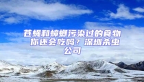 蒼蠅和蟑螂污染過的食物 你還會吃嗎？深圳殺蟲公司