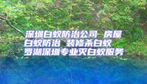深圳白蟻防治公司 房屋白蟻防治 裝修殺白蟻  羅湖深圳專業(yè)滅白蟻服務(wù)