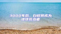 3000年后，白蟻將成為地球統(tǒng)治者