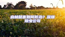 森林鼠害如何防治？深圳除蟲公司