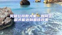滅鼠公司教大家，如何滅鼠才能達到最佳效果