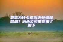 夏季為什么要消滅蚊蠅和鼠患？消殺公司帶你來(lái)了解下