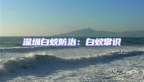 深圳白蟻防治：白蟻常識