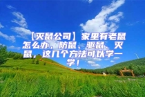 【滅鼠公司】家里有老鼠怎么辦，防鼠、驅(qū)鼠、滅鼠，這幾個(gè)方法可以學(xué)一學(xué)！