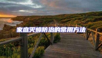 家庭滅蟑防治的常用方法