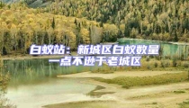 白蟻站：新城區(qū)白蟻數(shù)量一點不遜于老城區(qū)