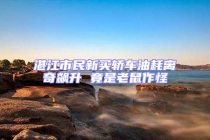 湛江市民新買(mǎi)轎車油耗離奇飆升 竟是老鼠作怪