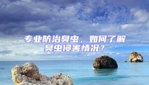 專業防治臭蟲，如何了解臭蟲侵害情況？