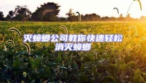 滅蟑螂公司教你快速輕松消滅蟑螂