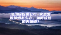 深圳除四害公司 家里發(fā)現(xiàn)蟑螂怎么辦，如何快速消滅蟑螂？