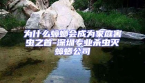 為什么蟑螂會(huì)成為家庭害蟲之首-深圳專業(yè)殺蟲滅蟑螂公司