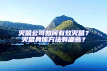 滅鼠公司如何有效滅鼠？滅鼠具體方法有哪些？