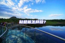 粘鼠板怎樣放？