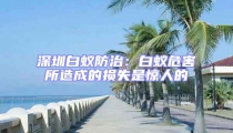 深圳白蟻防治：白蟻危害所造成的損失是驚人的