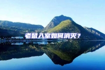 老鼠入室如何消滅？