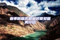 春季防鼠滅鼠知識常見鼠類介紹