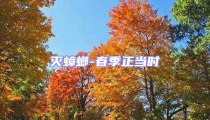 滅蟑螂-春季正當(dāng)時