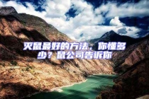 滅鼠最好的方法，你懂多少？鼠公司告訴你