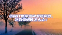 市民訂披薩盒內(nèi)發(fā)現(xiàn)蟑螂，吃到蟑螂該怎么辦？