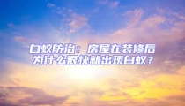 白蟻防治：房屋在裝修后為什么很快就出現(xiàn)白蟻？