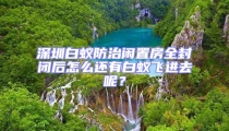深圳白蟻防治閑置房全封閉后怎么還有白蟻飛進(jìn)去呢？