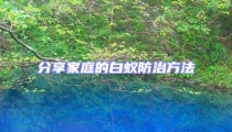 分享家庭的白蟻防治方法