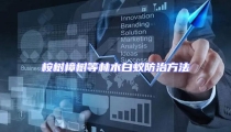 桉樹(shù)樟樹(shù)等林木白蟻防治方法