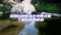 深圳白蟻防治公司帶大家了解白蟻的種類